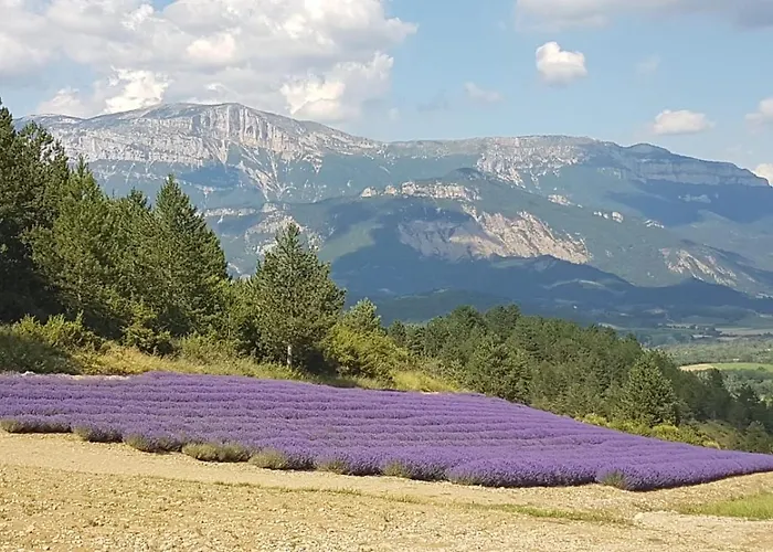 Le Glandasse 3* Die